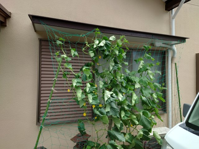 温かい雰囲気の家づくり！