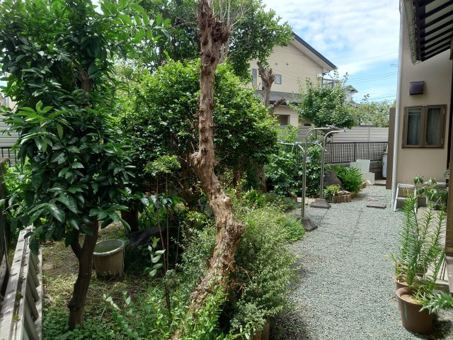 開放的な庭です♪