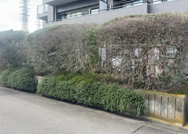 中庭（パティオ）とは、一つの建築物の内部に設けられた、壁などで囲われている庭のことを指します。コの字型、ロの字型が主流ですが、L字型の中庭もあります。最近では、インテリア性の高さからも人気があります。