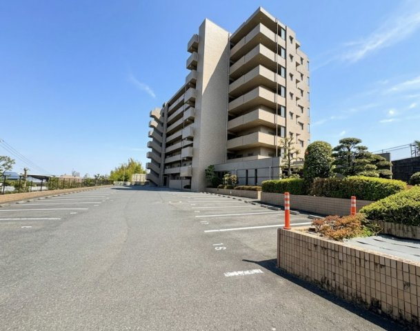 外観：334000238693