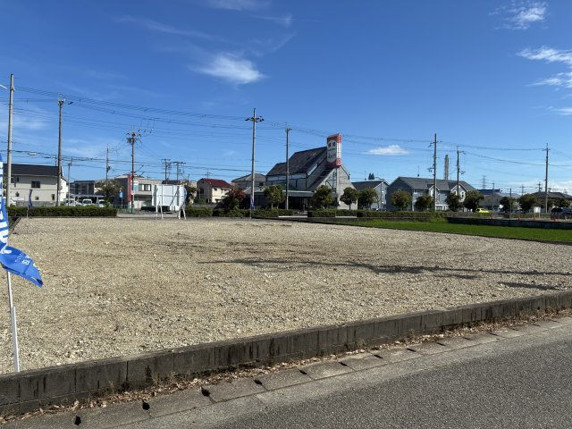 現地写真