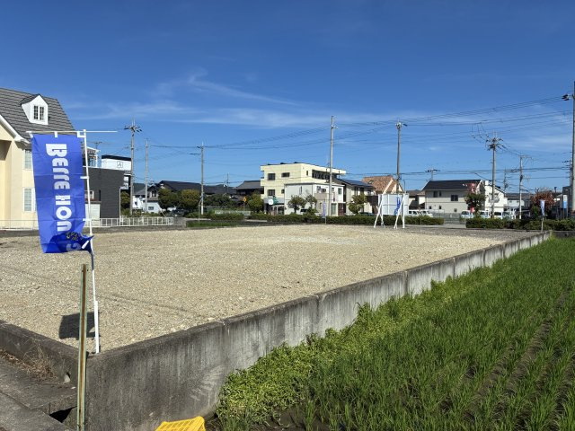 現地写真