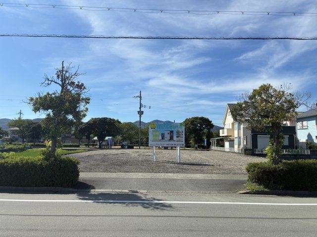 現地写真