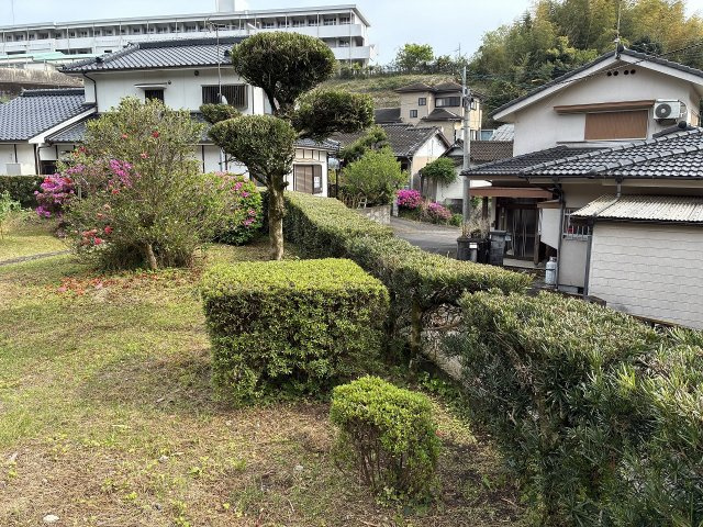 庭