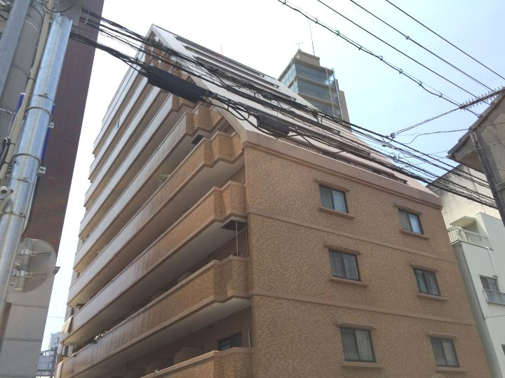 外観：334000249734