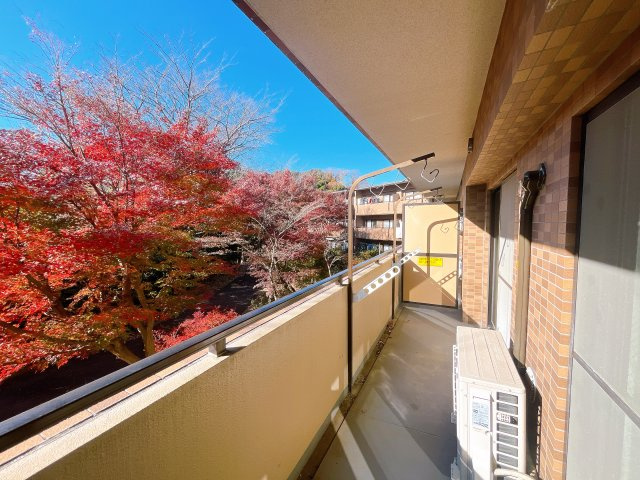【バルコニー】　ゆとりを感じる3階建の低層マンションになります。　大切なペットと一緒に生活できます（飼育細則あり）　バルコニーからは自然が眺められ四季を感じられそうです。