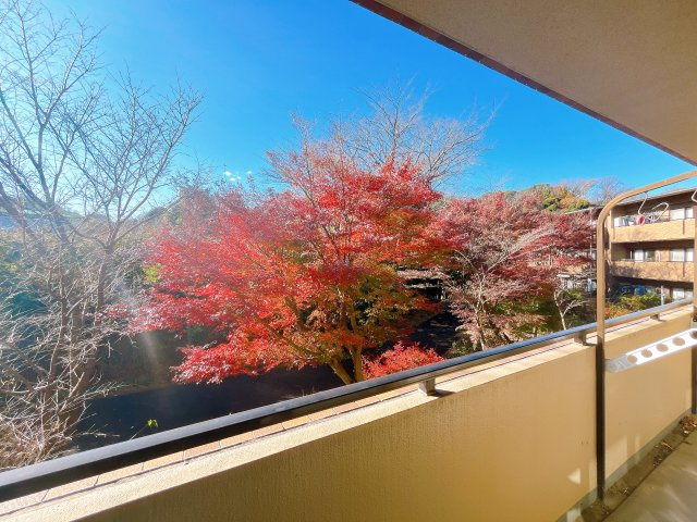 【眺望】　ゆとりを感じる3階建の低層マンションになります。　大切なペットと一緒に生活できます（飼育細則あり）　バルコニーからは自然が眺められ四季を感じられそうです。
