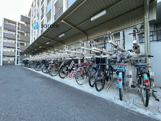 令和8年1月27日撮影。