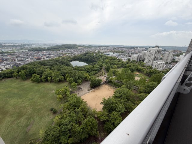 展望