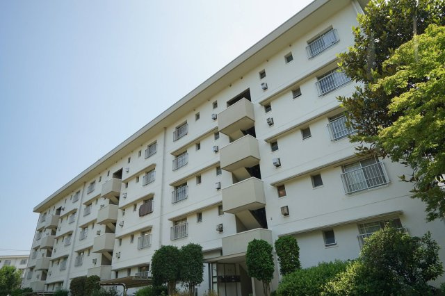 外観：312001054460