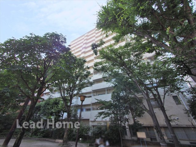 外観：313004693048