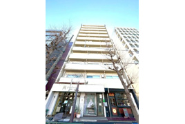 シャンボール南高円寺　東京メトロ丸ノ内線　新高円寺の外観