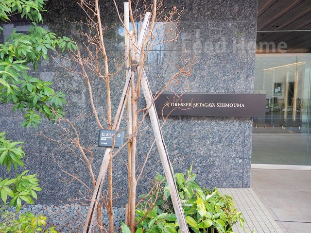 季節の移ろいを感じられる豊かな植栽とスタイリッシュな館名板！訪れる人を心地よく迎えてくれます！