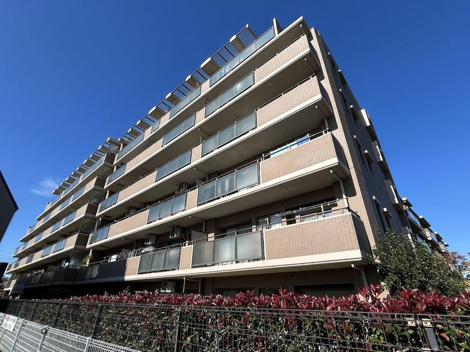 外観：313004693486