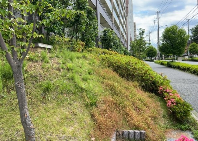 物件によっては、入居者が個人的に使用できる専用庭がついているものもあります。また、住宅の中にある土間の部分を庭と呼ぶこともあります。庭の用途は住む人によって変わり、それによってデザインもさまざまです。