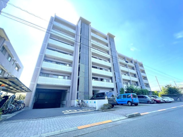 外観：313004668666