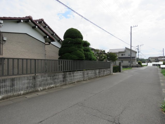 展望