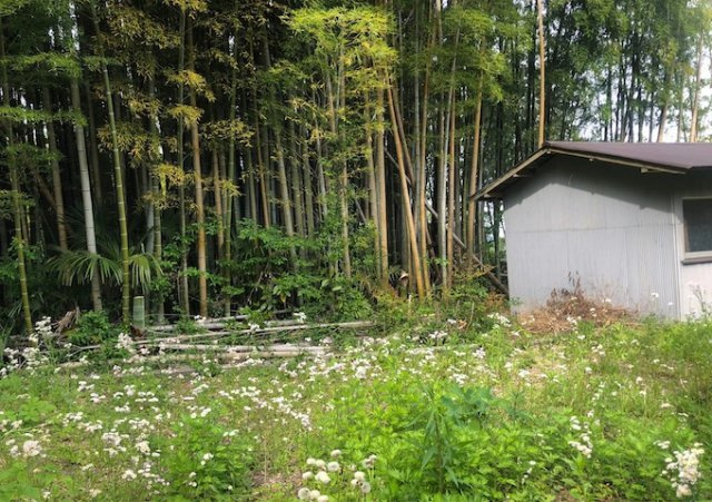 土地にも種類があるためお問い合わせ下さい。   　
