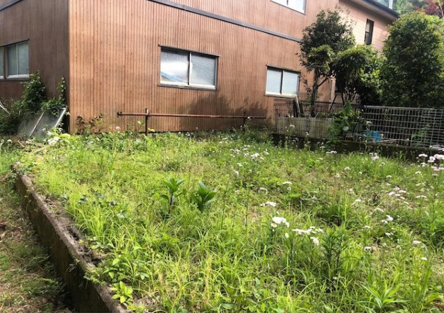 現地周辺をお散歩してみてはいかがでしょうか。   　