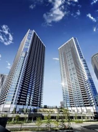 外観：313004674575