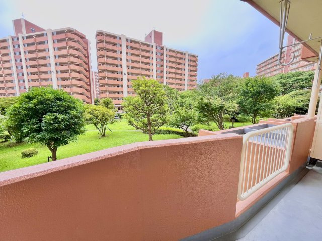 展望