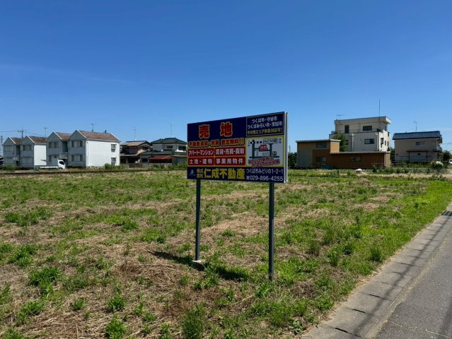 外観：308000174874