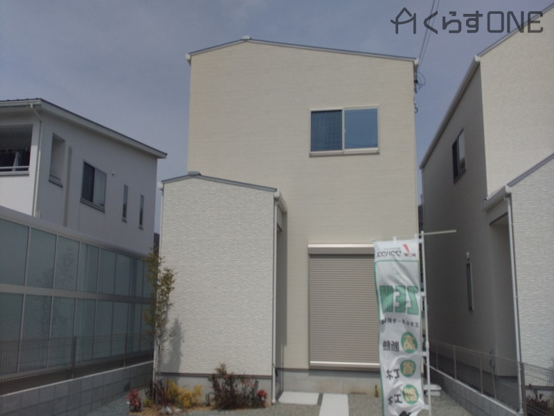 3号地