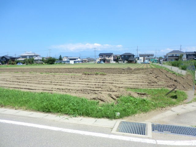 外観：310000094347