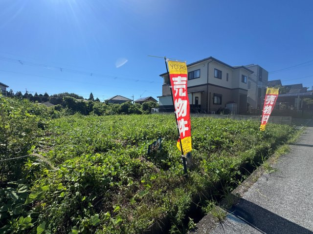 外観：325000118272