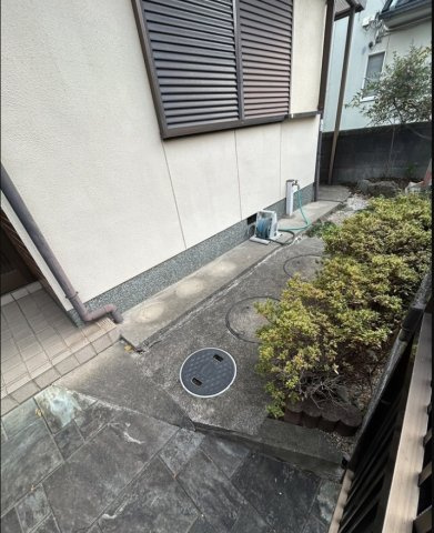 庭