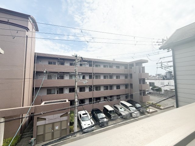 展望