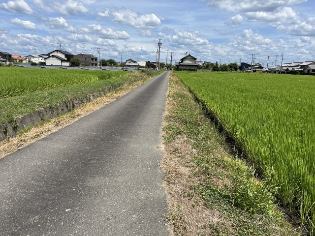 北側道路