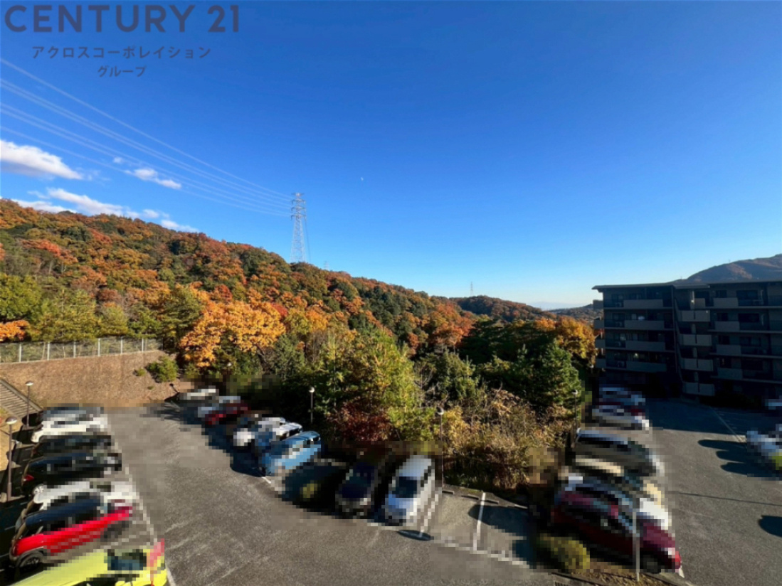 バルコニーからの眺望