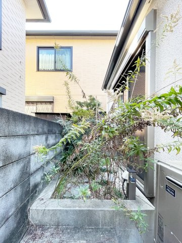 庭