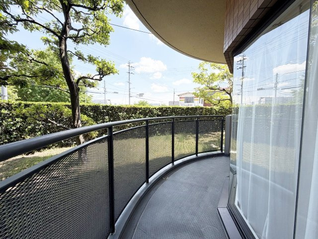 展望