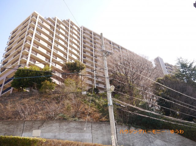 外観：313004691221