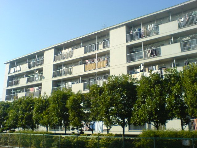 外観：311002266985