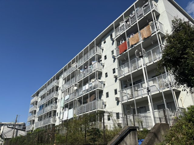 外観：314002643358