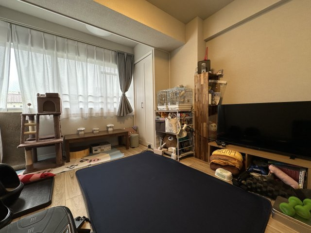 近隣にドラッグストア、スーパー、コンビニ等があり充実した周辺環境です。