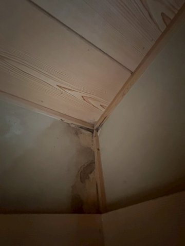 雨漏り