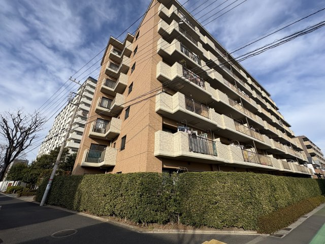 外観：313004546137