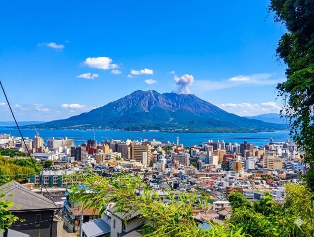 展望