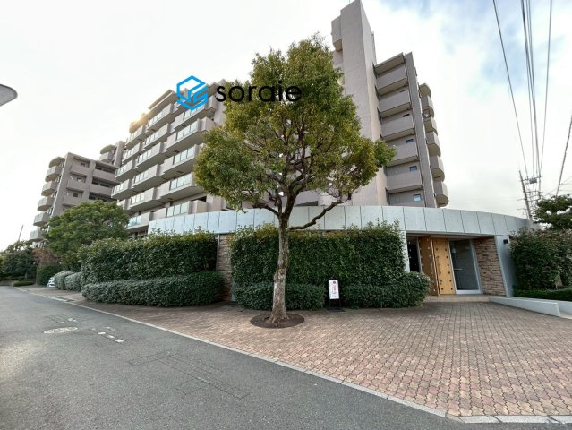 外観：311002244059