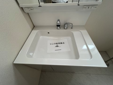 暮らしを快適に変えるシャワー付洗面台