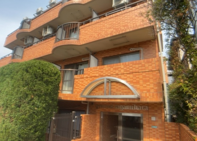 外観：314002684681