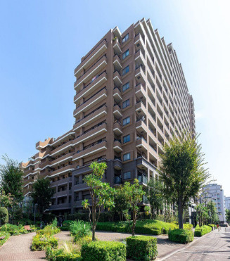 外観：313004670370