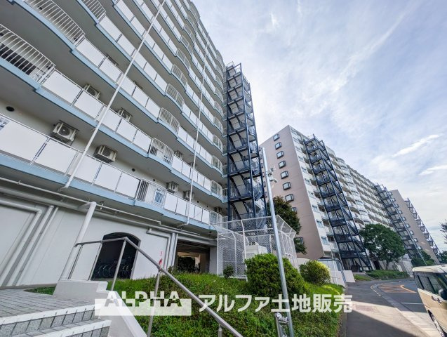 外観：313004762785