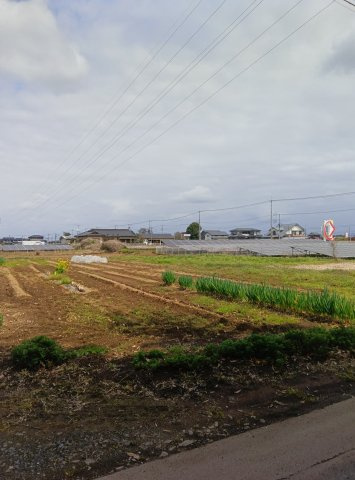 外観：309000096476