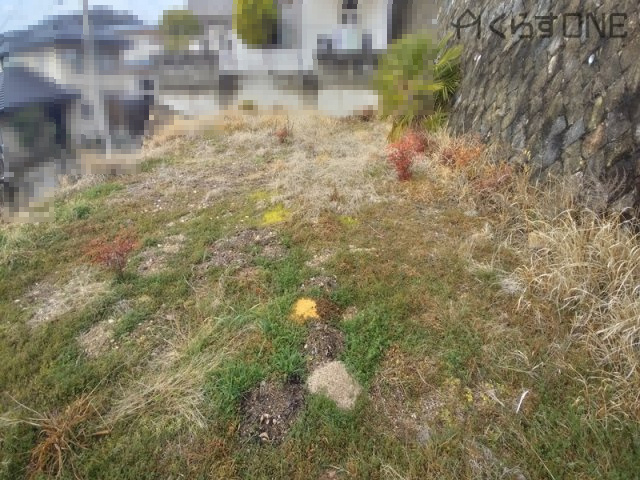 外観：328000627746