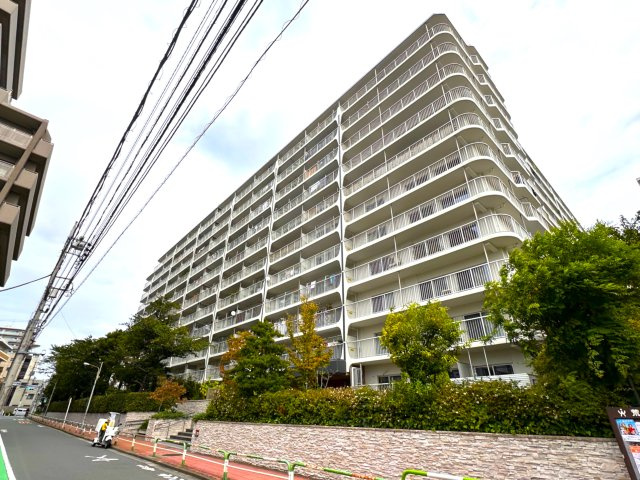 外観：313004520529